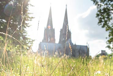 Pressemitteilung K&ouml;ln